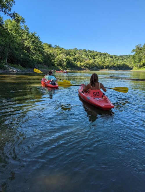 Two people kayaking on a calm river surrounded by lush green trees under a clear blue sky.