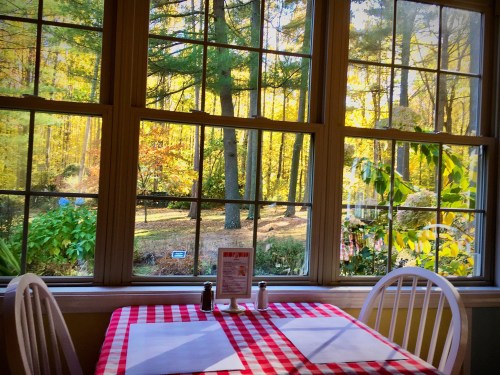 A cozy dining area with a checkered tablecloth, overlooking a sunlit forest through large windows.