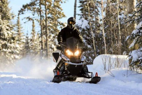 A person riding a snowmobile through a snowy forest, with trees in the background and sunlight shining.