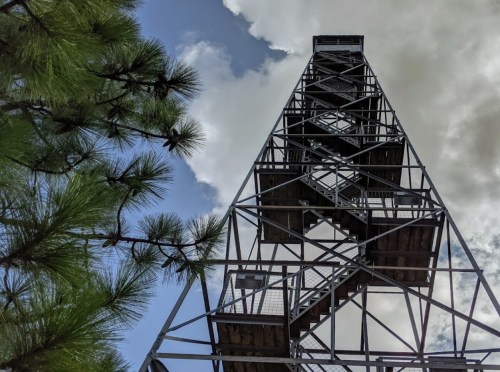 A tall metal observation tower surrounded by pine trees under a partly cloudy sky.