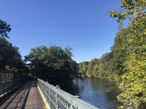 A scenic view of a river bordered by trees, with a clear blue sky above and a pathway along the water's edge.