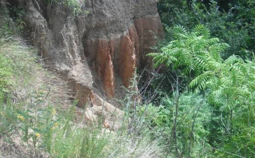 A rocky hillside with reddish soil, surrounded by green vegetation and small plants.
