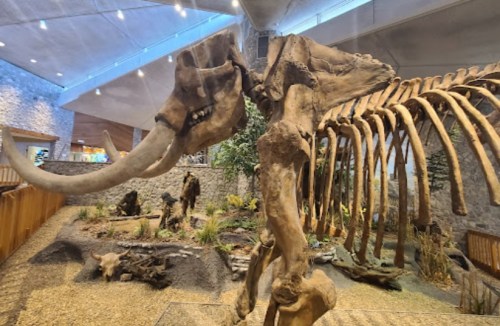 A large mammoth skeleton displayed in a museum setting, surrounded by naturalistic scenery and other fossilized remains.