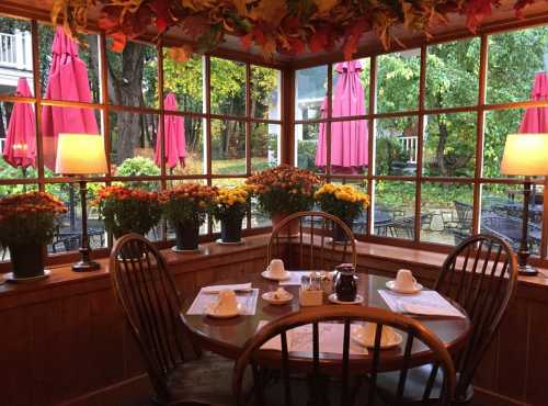 Cozy restaurant interior with a wooden table, chairs, and colorful flower pots by large windows overlooking a garden.