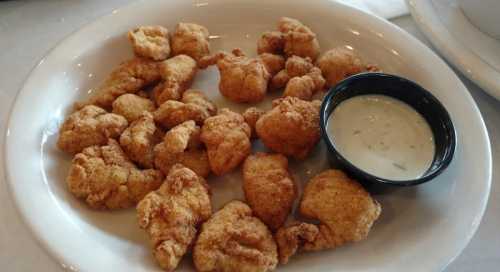 A plate of golden-brown fried food pieces served with a small cup of dipping sauce.