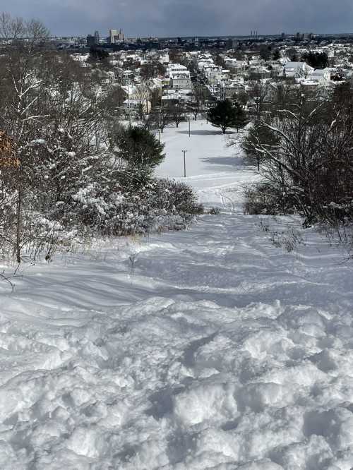 A snowy landscape with a view of a town in the distance, featuring trees and a clear sky.