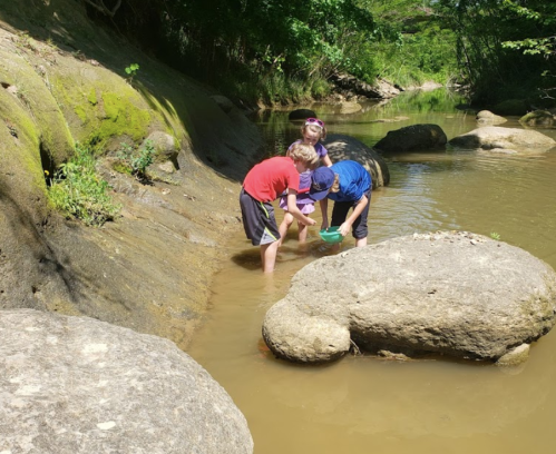 Three children play in a shallow stream, exploring rocks and water on a sunny day surrounded by greenery.