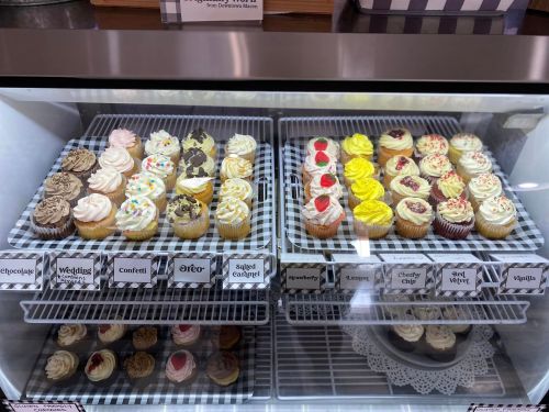 A display case filled with various colorful cupcakes, including chocolate, vanilla, and fruit-topped options.