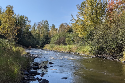 A serene river flows through a forested area with autumn foliage under a clear blue sky.