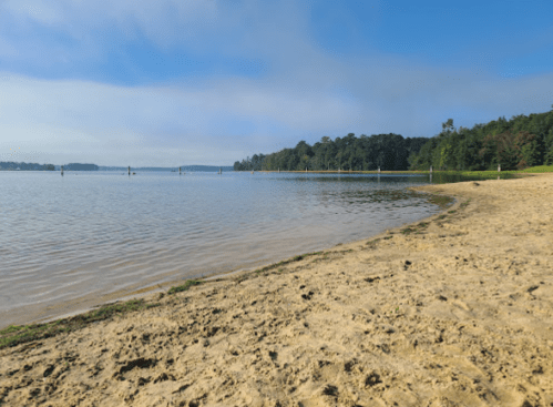 A serene lakeside view with a sandy beach, calm water, and trees lining the shore under a clear blue sky.
