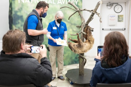 A sloth hangs from a tree branch as staff members interact with visitors at the National Aviary.