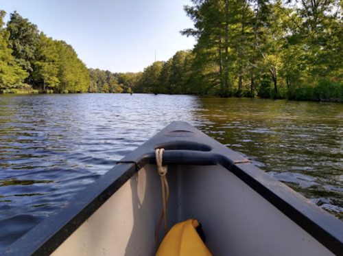 View from a kayak on a calm lake, surrounded by lush green trees under a clear blue sky.