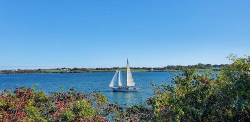 A sailboat with white sails glides across a calm blue lake, surrounded by greenery and a clear blue sky.
