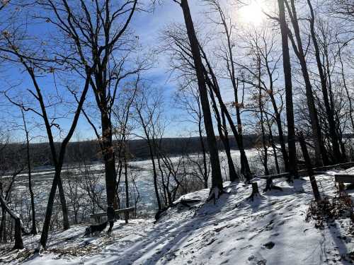 A snowy landscape with bare trees overlooking a river under a bright blue sky and sun.