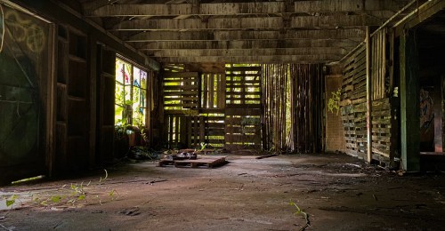 An abandoned, dilapidated room with wooden walls, overgrown plants, and scattered debris on the floor.