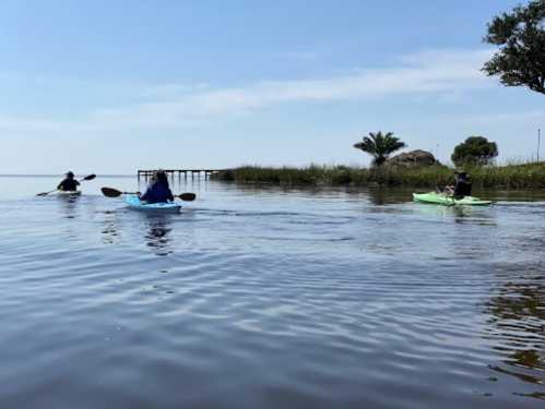 Three people kayaking on a calm lake with a dock and palm trees in the background under a clear blue sky.