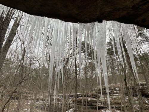 Icicles hang from a rocky overhang, surrounded by bare trees in a winter landscape.