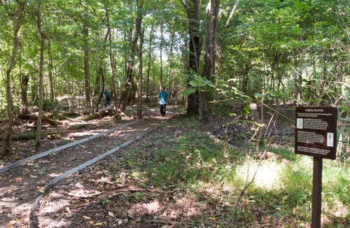 Two people walk along a wooded trail with a sign nearby, surrounded by lush green trees and underbrush.