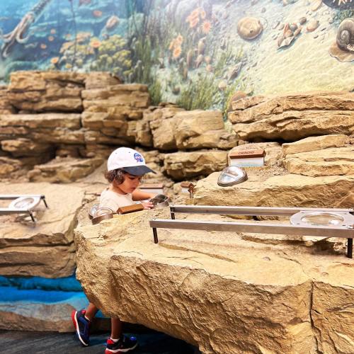 A child explores a rocky exhibit with magnifying glasses, surrounded by a colorful underwater mural.
