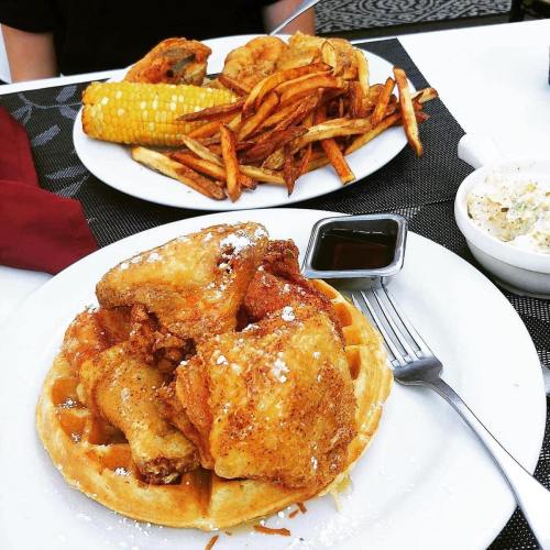 A plate of fried chicken on a waffle, sprinkled with powdered sugar, alongside sweet potato fries and corn on the cob.