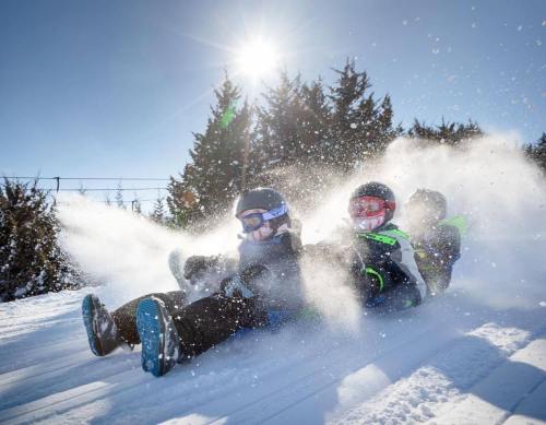 Three people sledding down a snowy hill, surrounded by trees, with sunlight shining brightly overhead. Snow sprays around them.