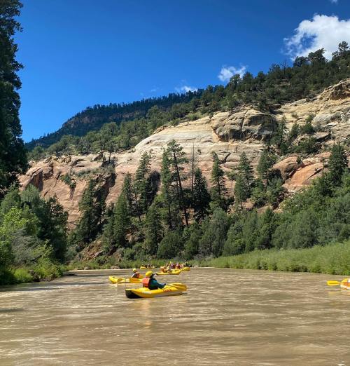 A group of kayakers paddles down a river surrounded by lush greenery and rocky cliffs under a clear blue sky.