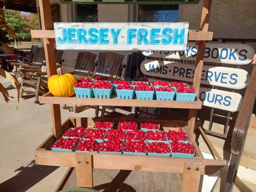 A wooden stand displays baskets of bright red cherries, with a sign reading "Jersey Fresh" and a small pumpkin nearby.