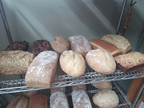 A variety of freshly baked loaves of bread on a wire rack, including whole grain, white, and sweet bread.