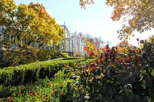 A sunny garden scene with colorful autumn foliage and a glass conservatory in the background.