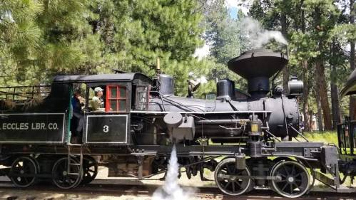 A vintage steam locomotive with smoke billowing, surrounded by tall trees and two people on board.
