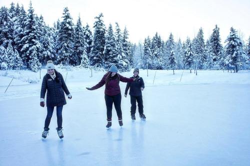 Three people ice skating on a frozen lake surrounded by snow-covered trees.