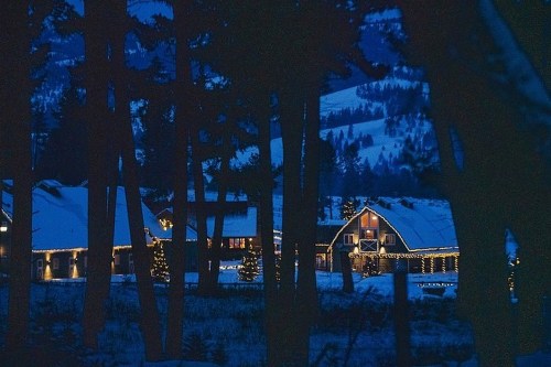 A cozy winter scene featuring snow-covered houses adorned with festive lights, surrounded by tall trees at dusk.