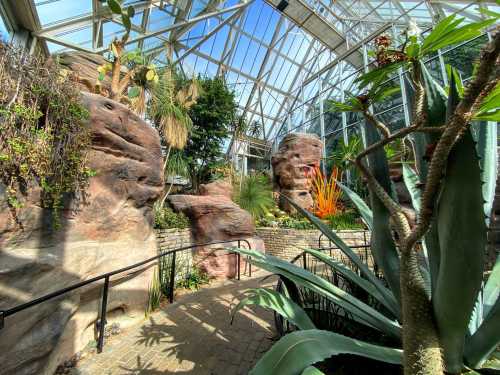 A lush greenhouse with rock formations, tropical plants, and vibrant foliage under a glass ceiling.