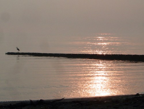 A serene scene of a calm water body at sunset, with a solitary bird standing on a pier.