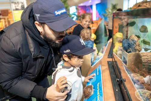 A man and a child observe sea creatures in an aquarium, with others enjoying the exhibit in the background.
