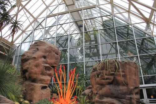 A glass greenhouse with large rock formations and vibrant plants in the foreground.