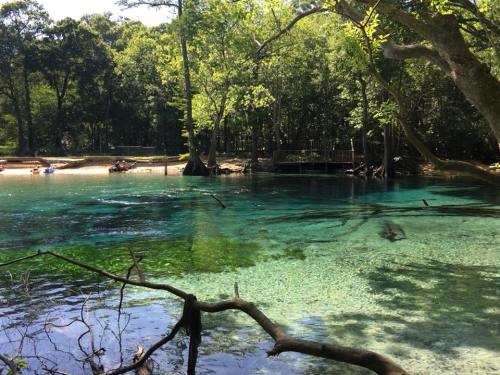 A serene natural spring with clear blue water, surrounded by lush greenery and trees, inviting for kayaking and relaxation.