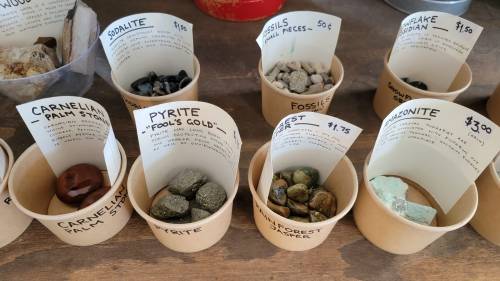 A display of various stones and fossils in paper cups, each labeled with names and prices on a wooden table.