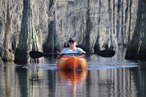 A person paddles a kayak through a serene, cypress-lined waterway on a sunny day.
