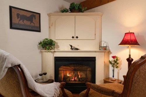 Cozy living room with a fireplace, two armchairs, a lamp, and decorative plants, creating a warm atmosphere.