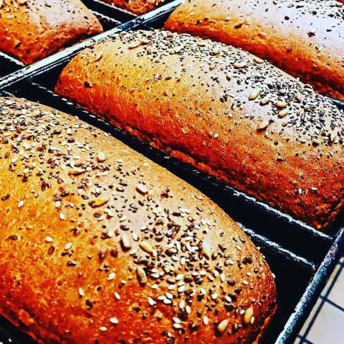 Freshly baked loaves of bread topped with seeds, arranged in a baking tray.