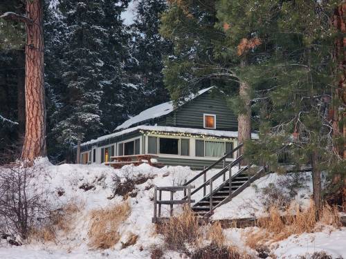 A cozy cabin surrounded by snow-covered trees, with a wooden staircase leading up to it.