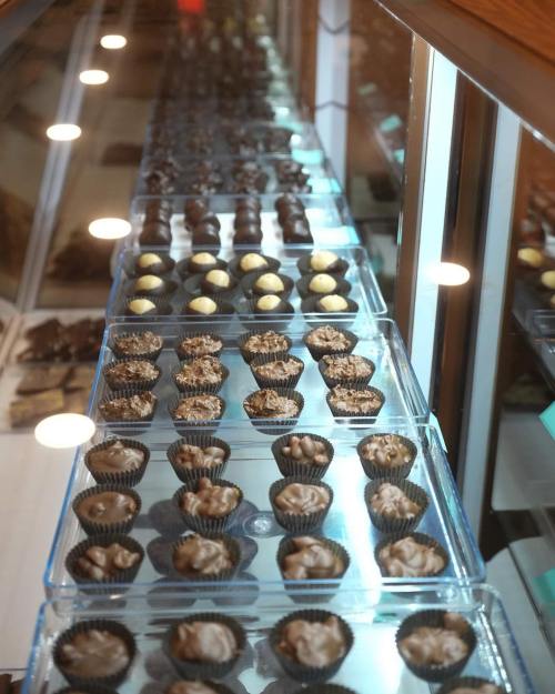 A display case filled with assorted chocolates in various shapes and flavors, neatly arranged in rows.
