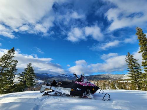 A snowmobile parked on a snowy landscape, surrounded by trees and under a blue sky with fluffy clouds.