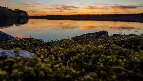 A serene sunset over a calm lake, reflecting colorful clouds, with rocks and greenery in the foreground.