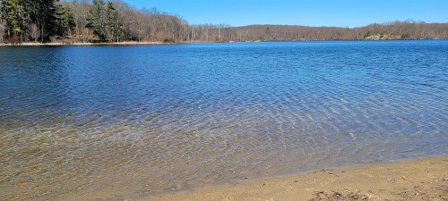A serene lake with clear blue water, sandy shore, and trees lining the background under a bright blue sky.