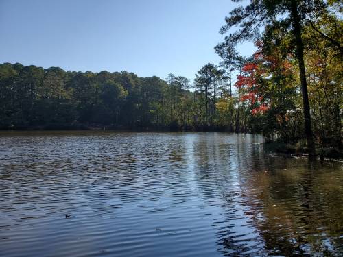 A serene lake surrounded by trees, reflecting the clear blue sky and autumn foliage on the shore.