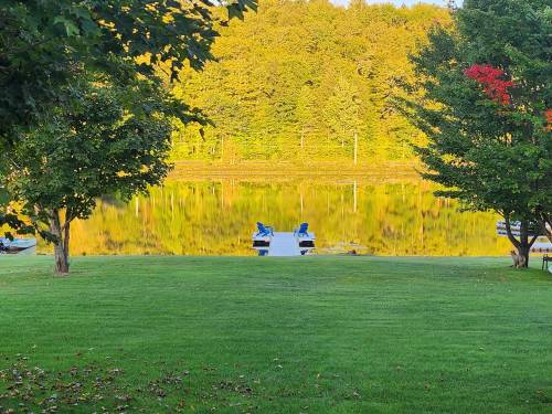 A serene lake view with two blue chairs on a dock, surrounded by lush green trees and autumn foliage.