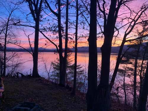 A serene lake at sunset, framed by silhouetted trees and vibrant pink and purple skies.