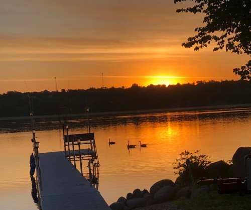 Sunset over a calm lake with a dock and two swans swimming peacefully in the water.